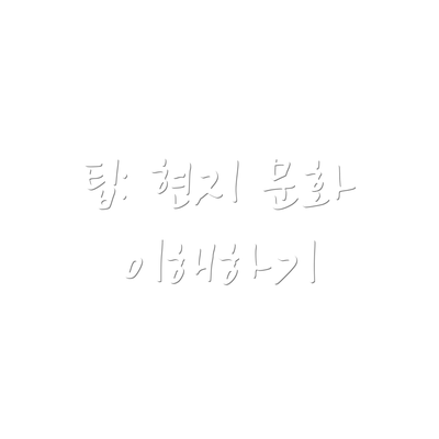 팁: 현지 문화 이해하기