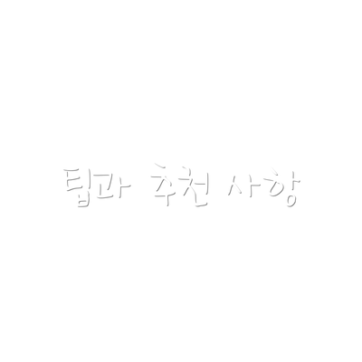 팁과 추천 사항
