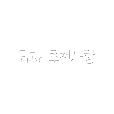 팁과 추천사항