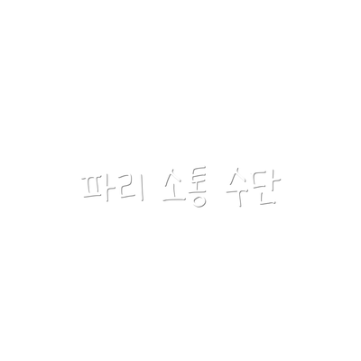 파리 소통 수단