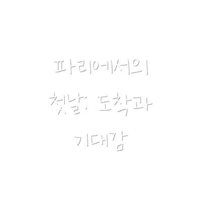 파리에서의 첫날: 도착과 기대감