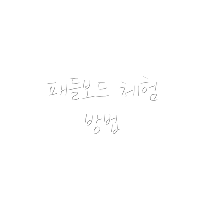 패들보드 체험 방법