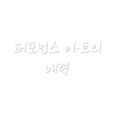 퍼포먼스 아트의 매력