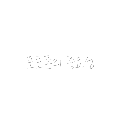 포토존의 중요성