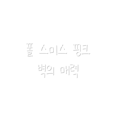 폴 스미스 핑크 벽의 매력
