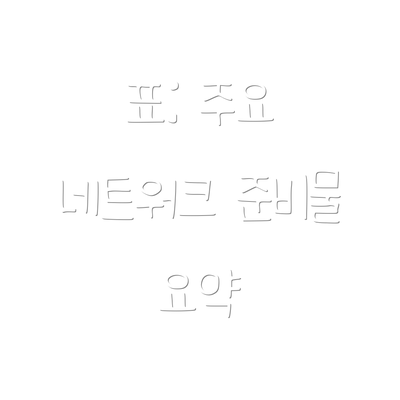 표: 주요 네트워크 준비물 요약