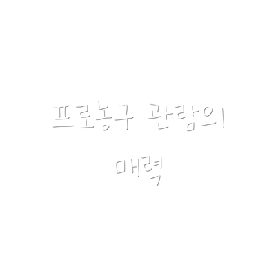 프로농구 관람의 매력
