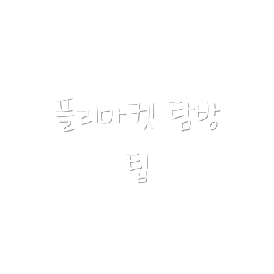 플리마켓 탐방 팁