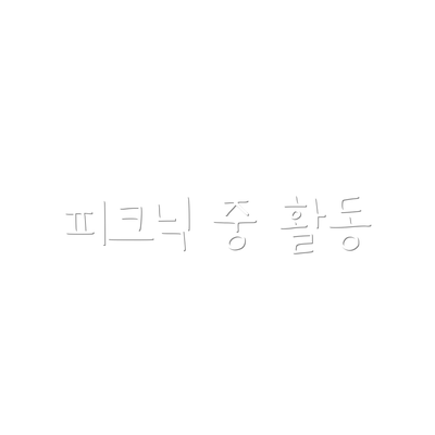 피크닉 중 활동