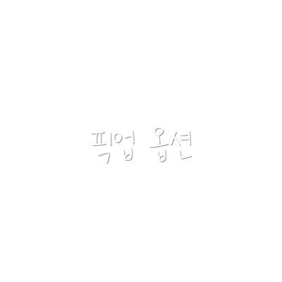 픽업 옵션