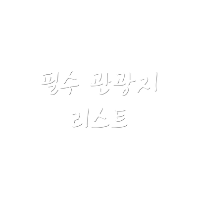 필수 관광지 리스트