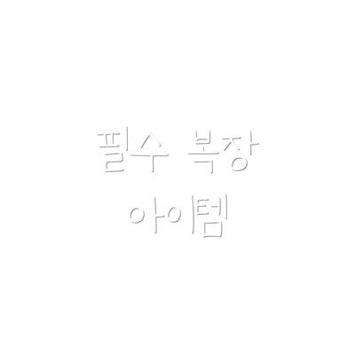 필수 복장 아이템
