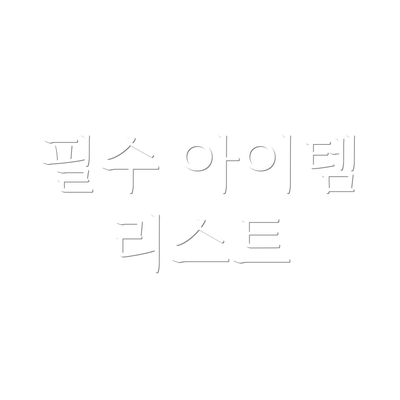 필수 아이템 리스트