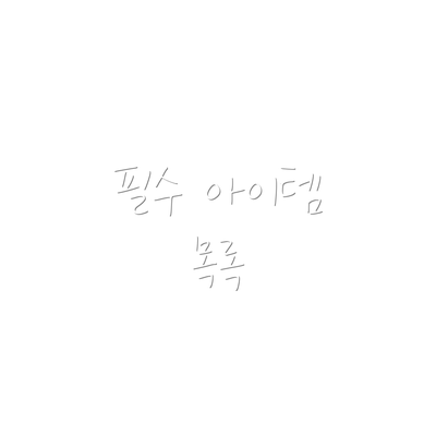 필수 아이템 목록