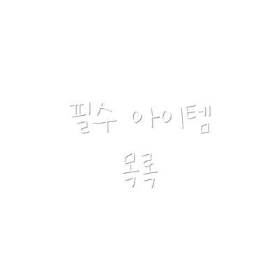 필수 아이템 목록