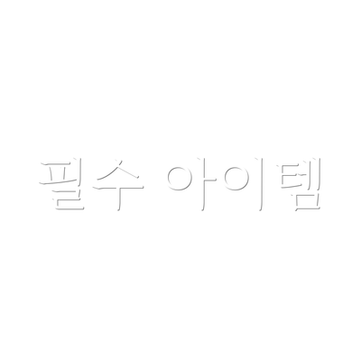 필수 아이템