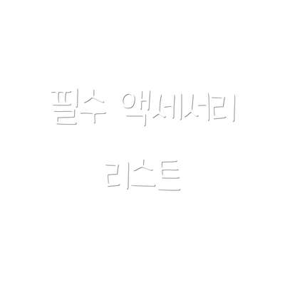 필수 액세서리 리스트