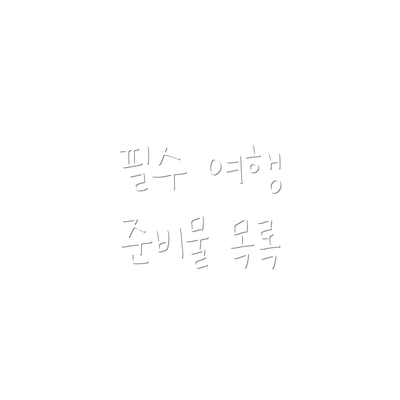 필수 여행 준비물 목록