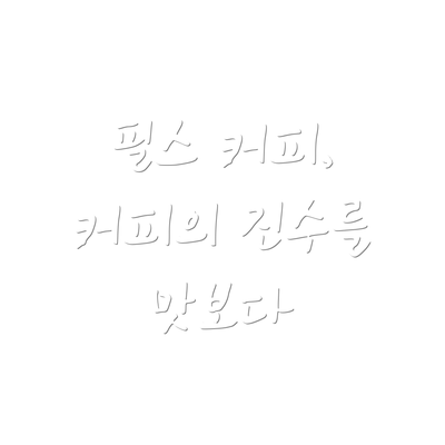 필스 커피, 커피의 진수를 맛보다