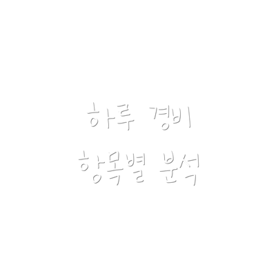 하루 경비 항목별 분석