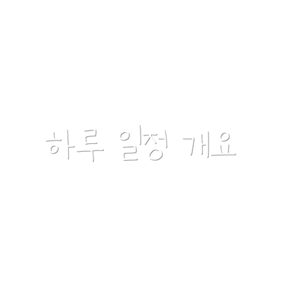 하루 일정 개요