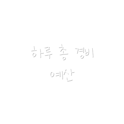 하루 총 경비 예산