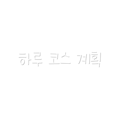 하루 코스 계획