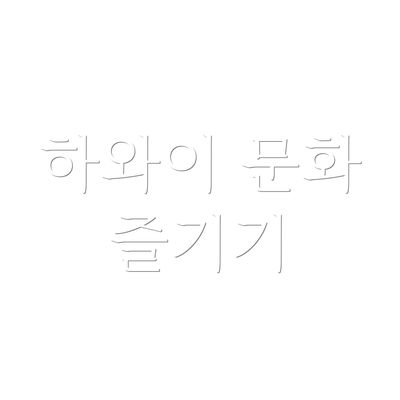 하와이 문화 즐기기