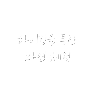 하이킹을 통한 자연 체험