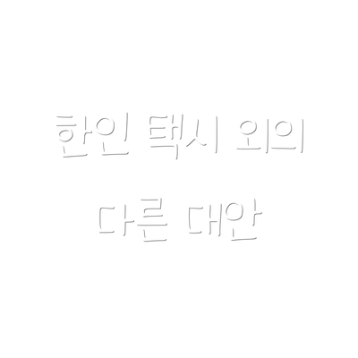 한인 택시 외의 다른 대안