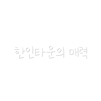한인타운의 매력