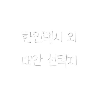 한인택시 외 대안 선택지