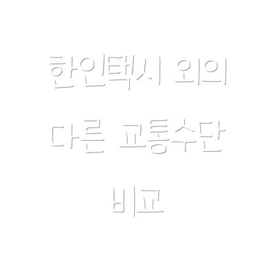 한인택시 외의 다른 교통수단 비교