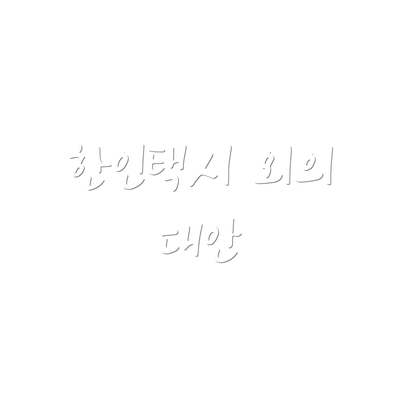 한인택시 외의 대안