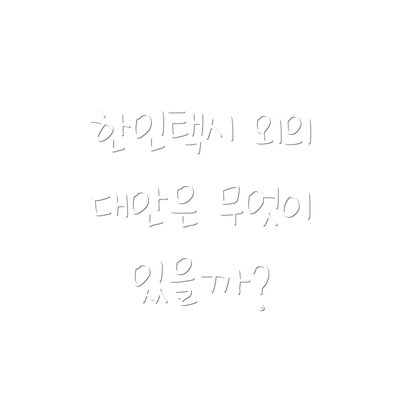 한인택시 외의 대안은 무엇이 있을까?