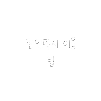 한인택시 이용 팁