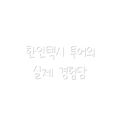 한인택시 투어의 실제 경험담