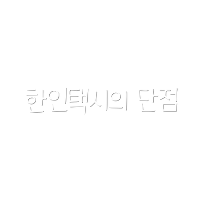 한인택시의 단점
