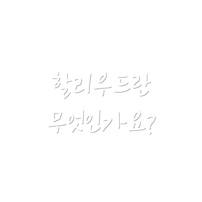 할리우드란 무엇인가요?