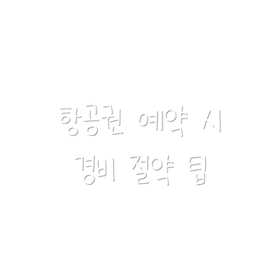 항공권 예약 시 경비 절약 팁