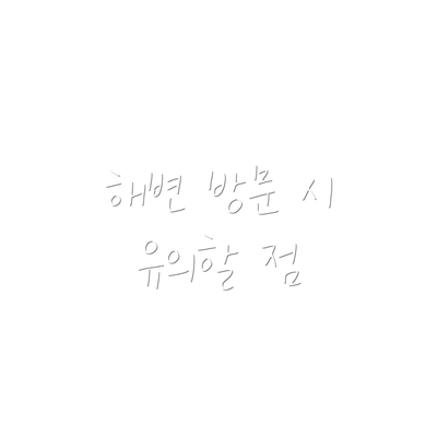 해변 방문 시 유의할 점
