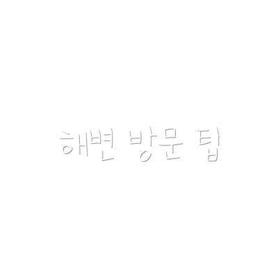 해변 방문 팁