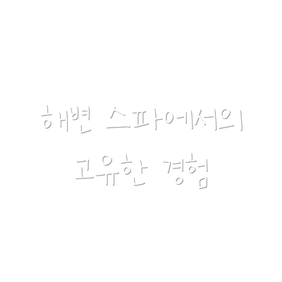 해변 스파에서의 고유한 경험