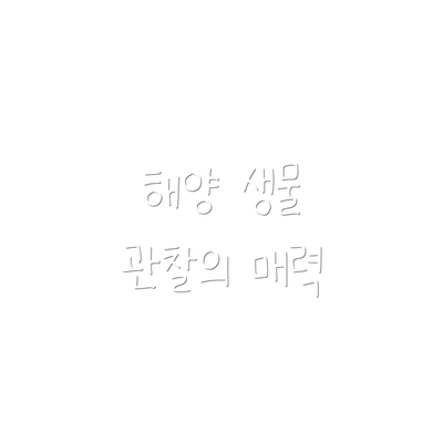 해양 생물 관찰의 매력