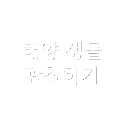 해양 생물 관찰하기