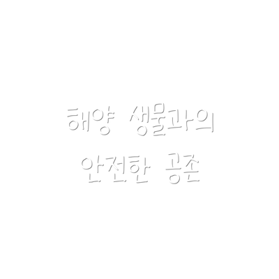 해양 생물과의 안전한 공존