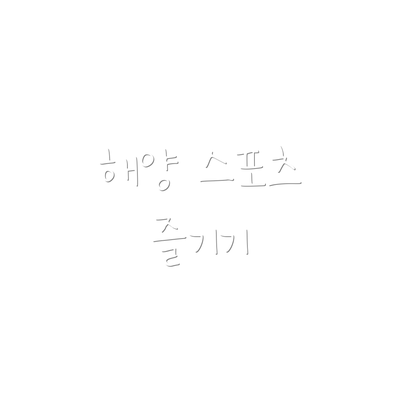 해양 스포츠 즐기기
