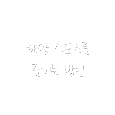 해양 스포츠를 즐기는 방법