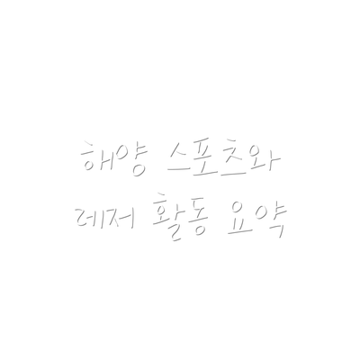 해양 스포츠와 레저 활동 요약