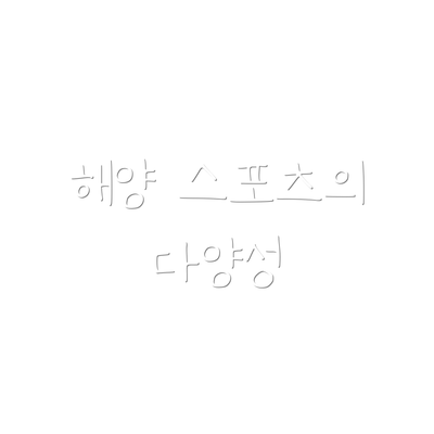 해양 스포츠의 다양성